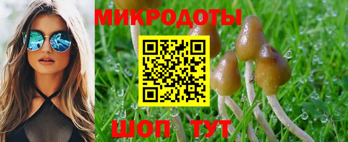 Галлюциногенные грибы прущие грибы Отрадный